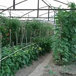 Lejlighed Barica Trsteno