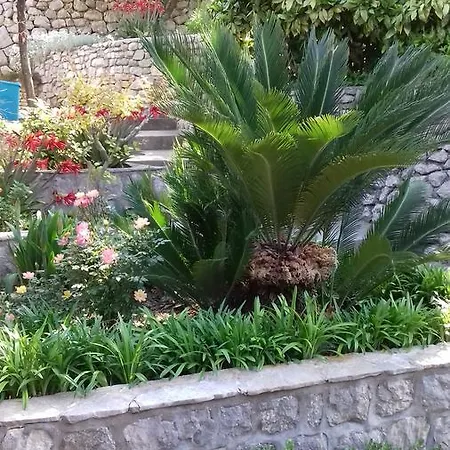 Appartement Barica