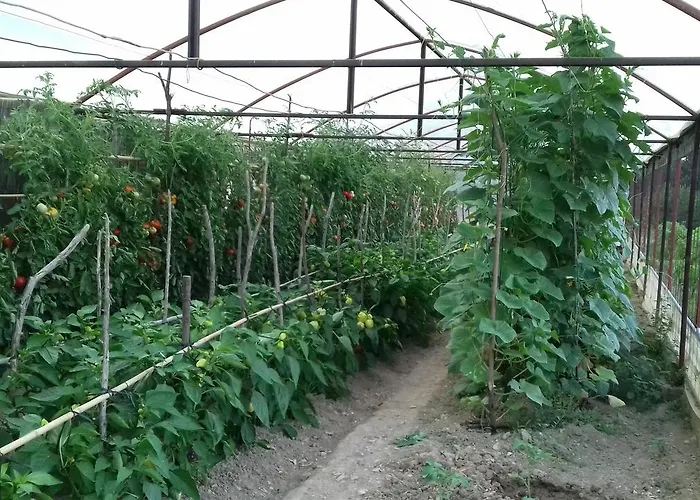 Lägenhet Barica Trsjteno